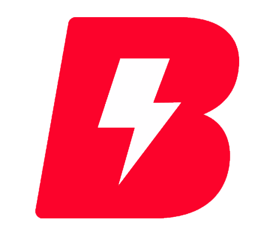 Bolt Digital Inc Bolt Digital Inc